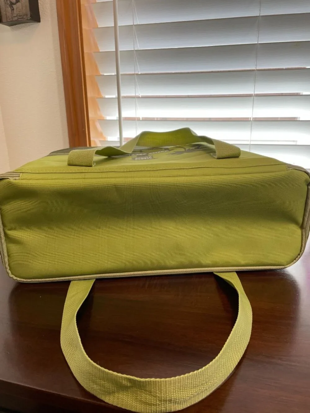 Trader Joe's Large Olive Green Insulated Reusable  8-Gallon Tote Cooler Bag with